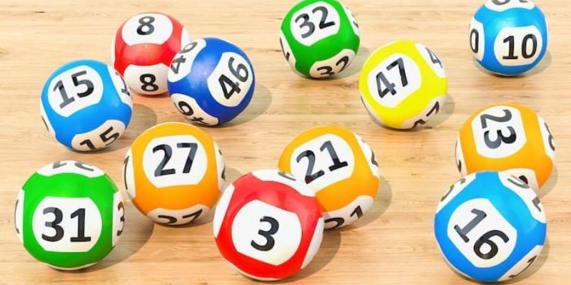 Kinh nghiệm nuôi dàn đề 10 số từ chuyên gia 