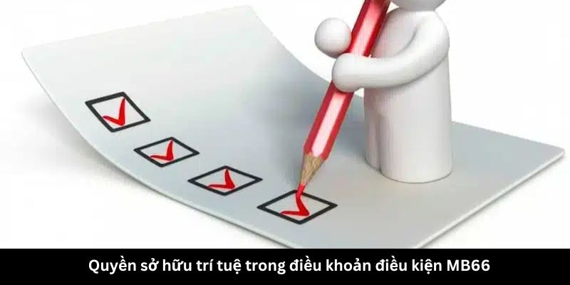 Quyền sở hữu trí tuệ trong điều khoản điều kiện MB66