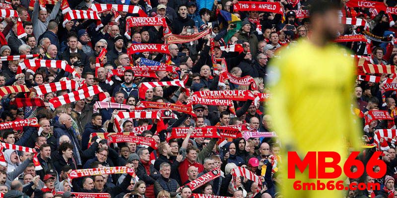 Thu hút sự quan tâm của người hâm mộ trong và sau mùa giải 