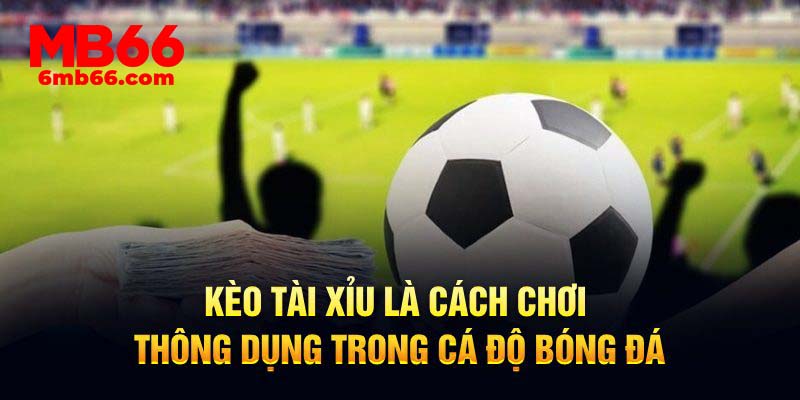 Kèo tài xỉu là cách chơi thông dụng trong cá độ bóng đá