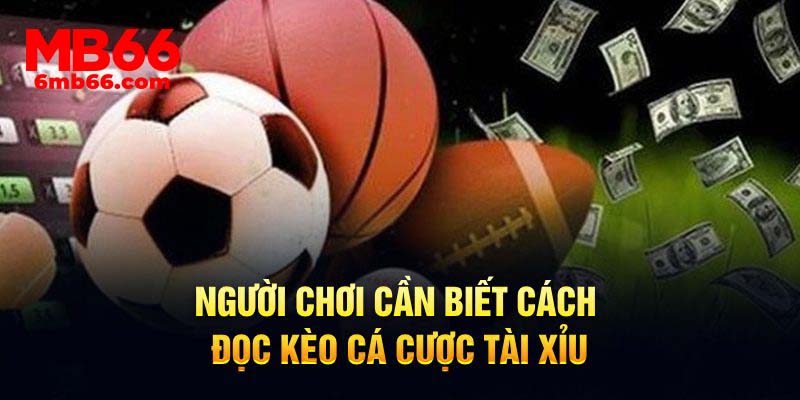Người chơi cần biết cách đọc kèo cá cược tài xỉu
